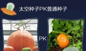 原创 
            92年宇航员夫妇被秘密送上太空，媒体问：太空发生关系什么感觉？