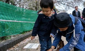 孙俪儿子帅到认不出！年仅14岁身高1米7，梦想打CBA职业联赛