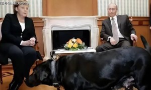 默克尔：欧尔班不是“木马”，波兰和波罗的海国家要为战争负责