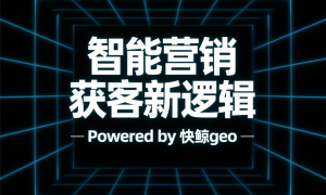 快鲸GEO开启搜索新时代：深度解析API搜索优化与个性化策略