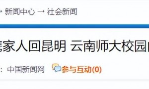 原创 
            杨振宁父亲有多牛！民国数学天才，教育观奇特，到死都没原谅儿子