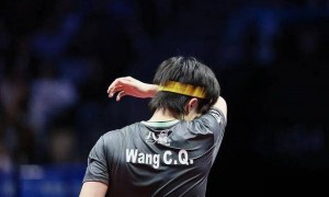 樊振东王楚钦打扁比赛用球