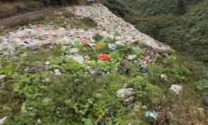 云南一山沟惊现百米“垃圾池”！当地通报：已全部清离，将严肃追责