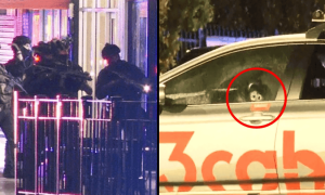 澳大利亚悉尼发生无差别枪击事件，至少20人受伤，枪手连开50至100枪