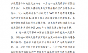 中国关于世贸组织特殊和差别待遇问题的立场文件