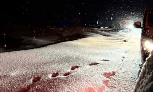 游客称因大雪在喀纳斯堵车8小时，交警凌晨仍在除雪，当地交管部门：仍有车堵在山上，救援持续进行