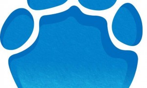 哈尔滨马拉松比赛女护士夺冠后哭求领导支持调休，当事人账号发布情况说明后又删除