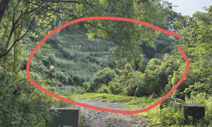 杭州女子误踩“化骨水”身亡，当地：已锁定化学品所有者，发现三桶，一桶完整，两桶残余